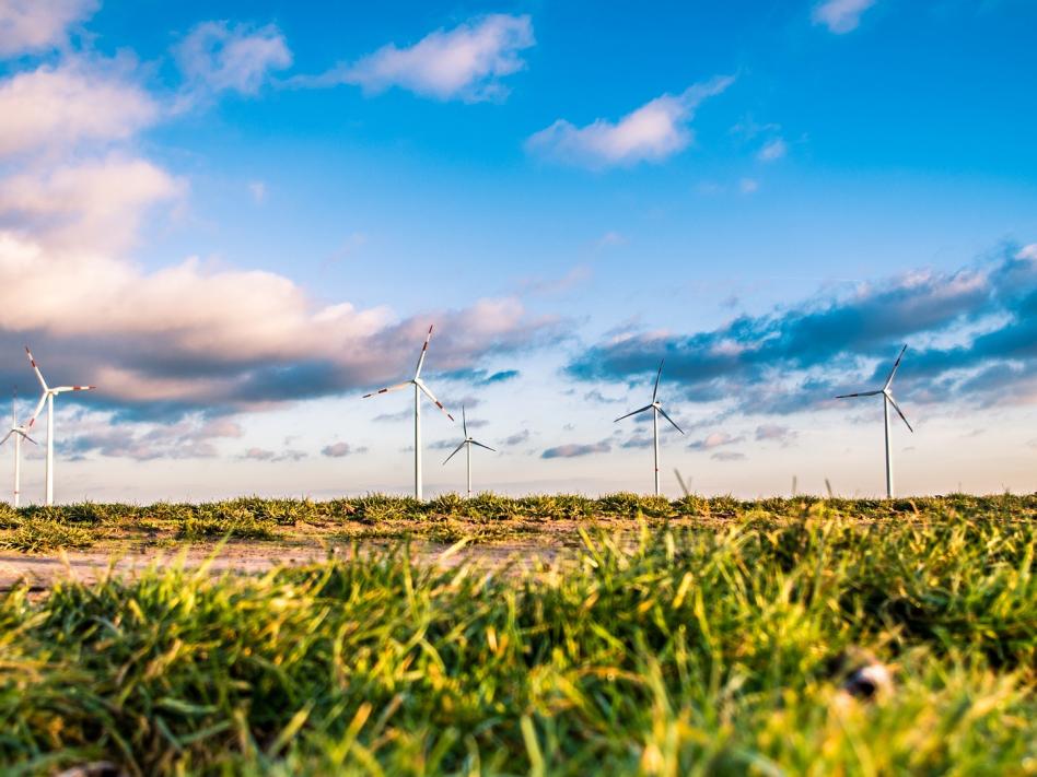 Slika: Nekaj misli o zeleni energiji